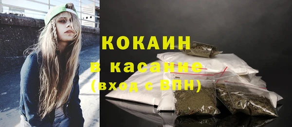 стаф Богданович