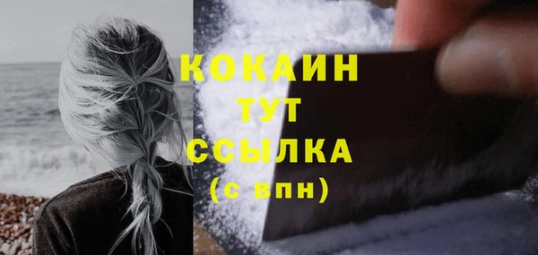 стаф Богданович