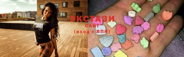 mdpv Богородицк