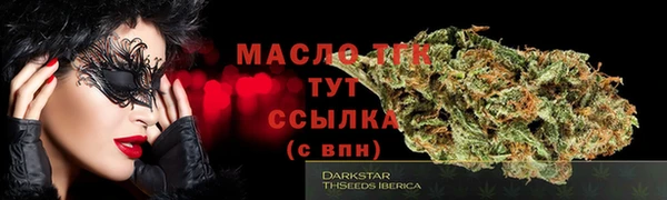 стаф Богданович