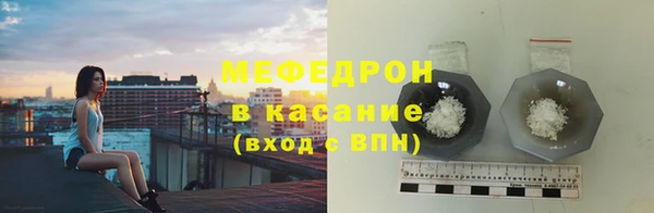 стаф Богданович