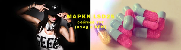 mdpv Богородицк