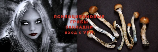 стаф Богданович