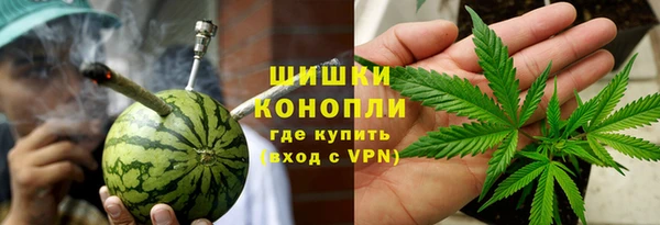 стаф Богданович