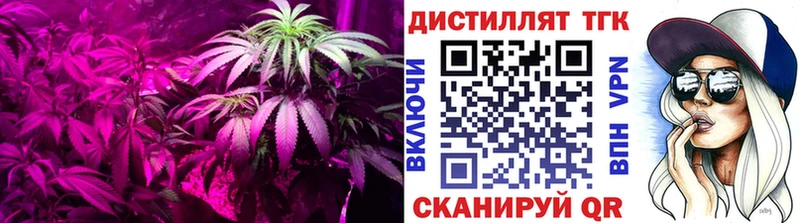 blacksprut вход  Волжский  darknet формула  Дистиллят ТГК гашишное масло 