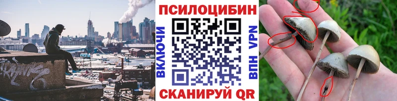 МЕГА tor  Волжский  Псилоцибиновые грибы Cubensis 